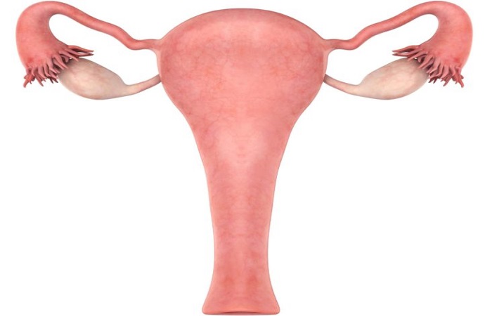 Causes of inflammation of the uterus