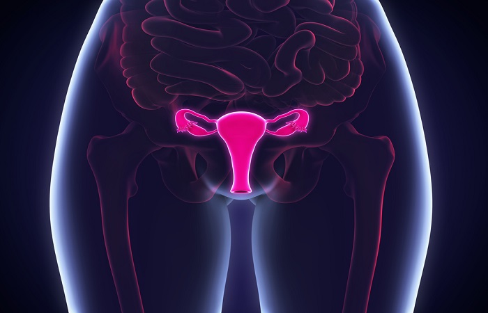 Hypertrophic uterus