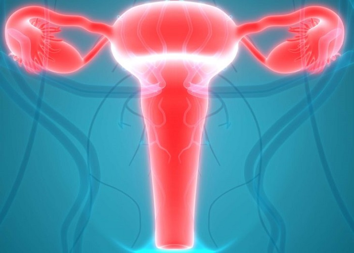 Swollen Cervix Causes Symptoms And Treatment Fastlyheal