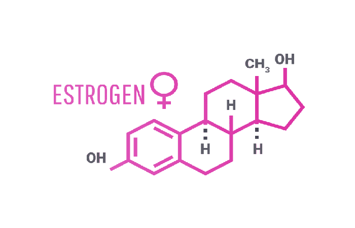 estrogen