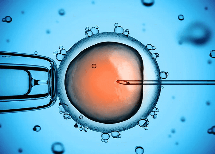 vitro fertilization procedure